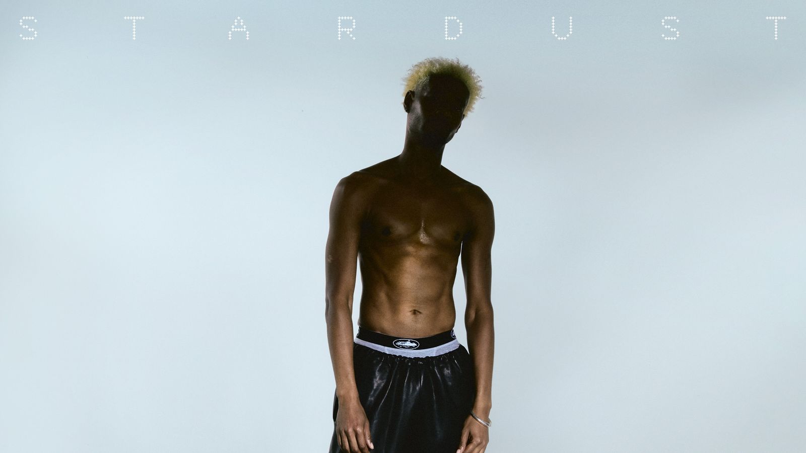 Stardust