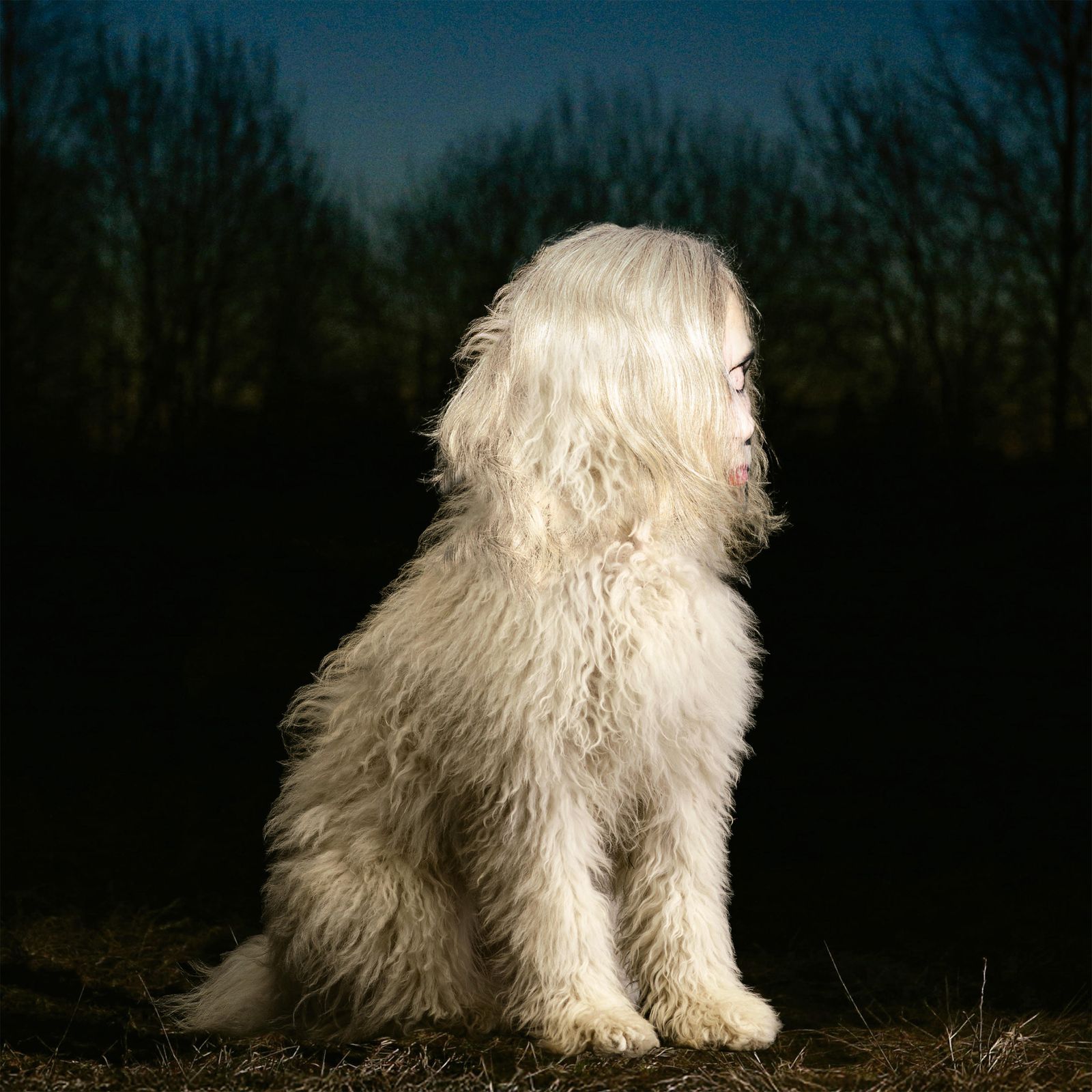 DOGA